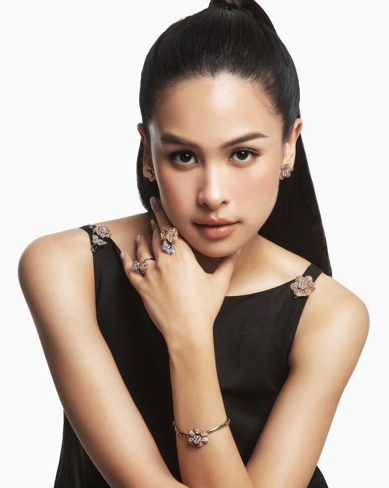 Lily Collection: Beautiful Collections for Every Day in Cilacap